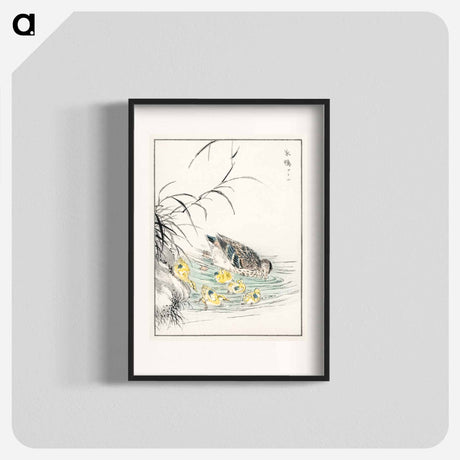 アートポスター-Duck Illustration
 - 鳥類図鑑 Poster.