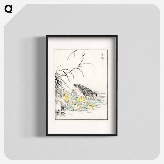 アートポスター-Duck Illustration
 - 鳥類図鑑 Poster.