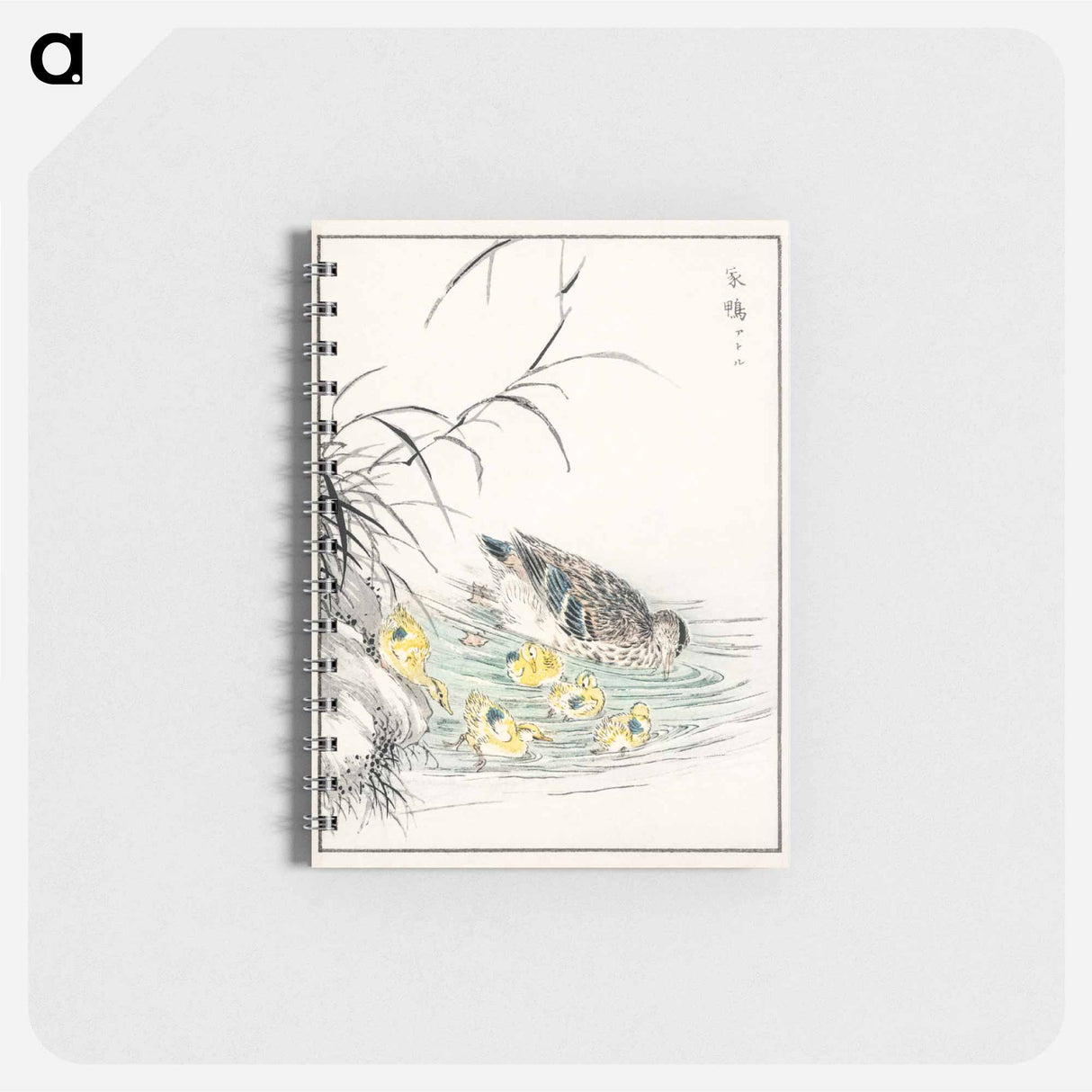 アートメモ帳-Duck Illustration
 - 鳥類図鑑 Memo.