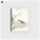 アートメモ帳-Duck Illustration
 - 鳥類図鑑 Memo.