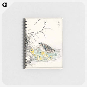 アートメモ帳-Duck Illustration
 - 鳥類図鑑 Memo.