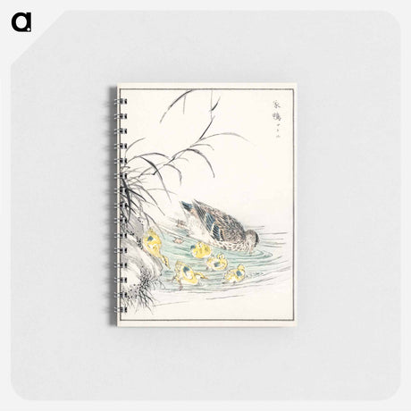 アートメモ帳-Duck Illustration
 - 鳥類図鑑 Memo.