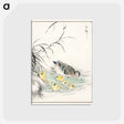アートポストカード-Duck Illustration
 - 鳥類図鑑 Postcard.