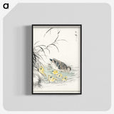 1-46_Pictorial-Monograph-of-Birds_blk-crop
