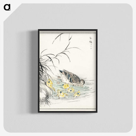 1-46_Pictorial-Monograph-of-Birds_blk-crop