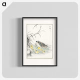1-46_Pictorial-Monograph-of-Birds_blk