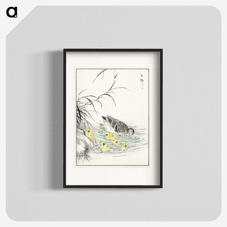 1-46_Pictorial-Monograph-of-Birds_blk