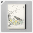 1-46_Pictorial-Monograph-of-Birds_canvas