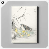 1-46_Pictorial-Monograph-of-Birds_canvas
