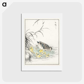 1-46_Pictorial-Monograph-of-Birds_hagaki