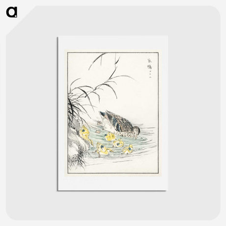 1-46_Pictorial-Monograph-of-Birds_hagaki