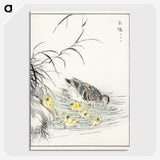 1-46_Pictorial-Monograph-of-Birds_picture-crop