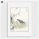 1-46_Pictorial-Monograph-of-Birds_picture