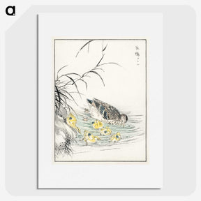 1-46_Pictorial-Monograph-of-Birds_picture