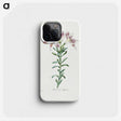 1-46_Pierre-Joseph-Redoute_phone