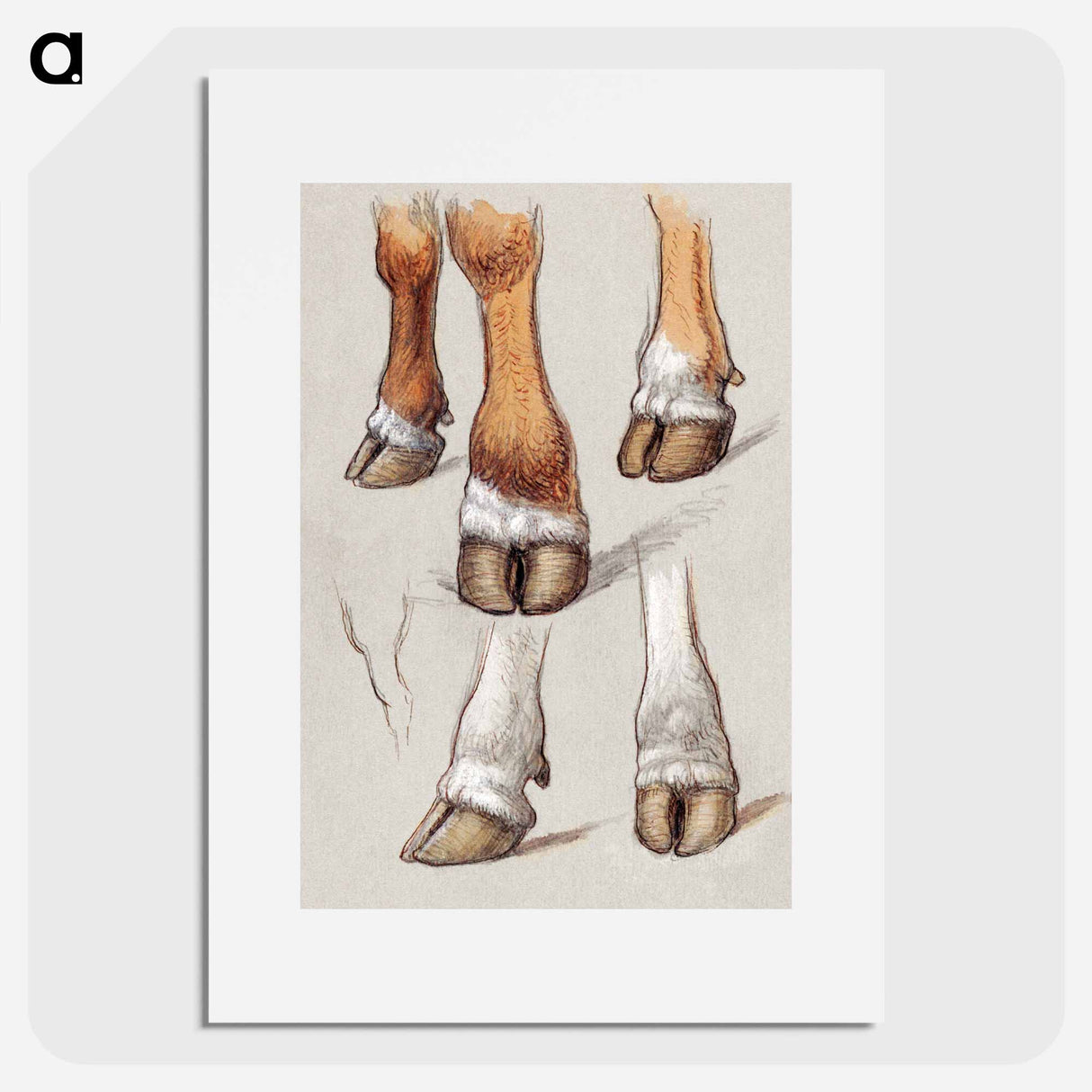 Studies After Cattle - Samuel Coleman Poster.