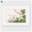 1-46_Seiyo-Soka-Zufu_picture