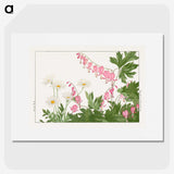 1-46_Seiyo-Soka-Zufu_picture