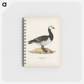 アートメモ帳-Barnacle Goose
 - スヴェンスカ フォグラル Memo.