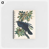 アートメモ帳-Raven from Birds of America
 - アメリカの鳥たち Memo.