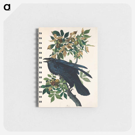 アートメモ帳-Raven from Birds of America
 - アメリカの鳥たち Memo.
