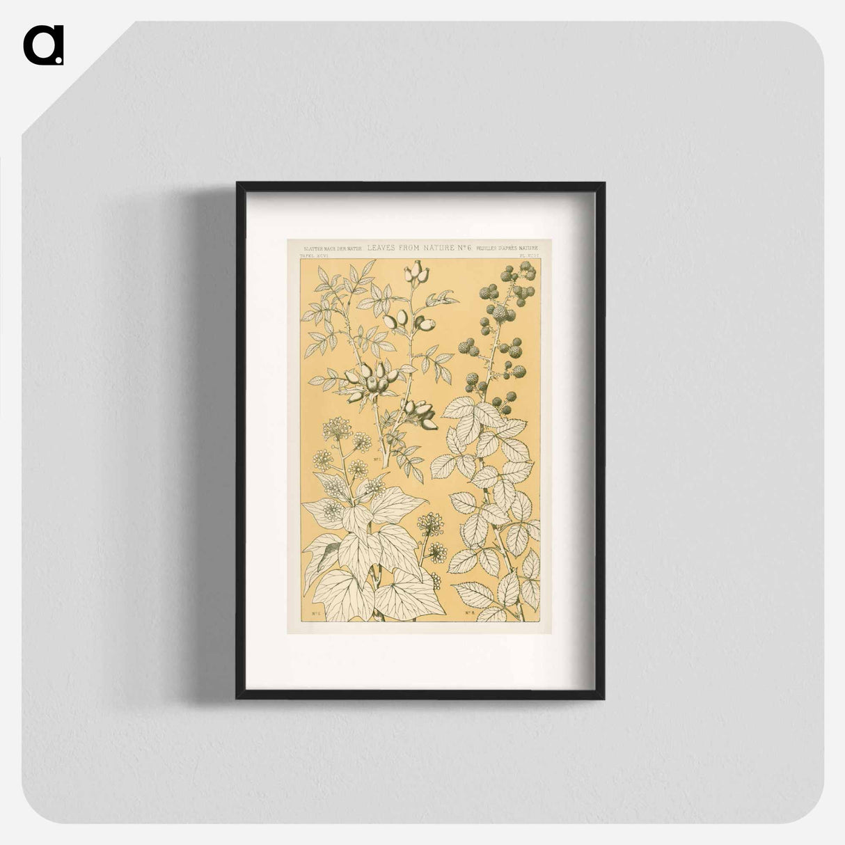 アートポスター-Nineteenth-Century Floral Ornament
 - 装飾の文法 Poster.