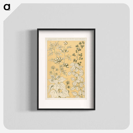 アートポスター-Nineteenth-Century Floral Ornament
 - 装飾の文法 Poster.