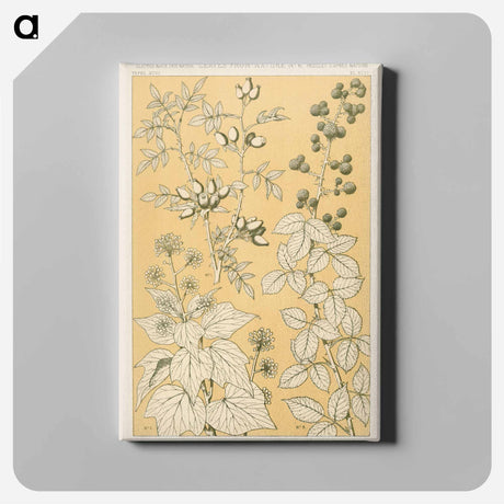 アートパネル-Nineteenth-Century Floral Ornament
 - 装飾の文法 Canvas.