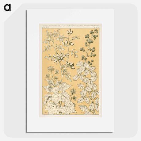 アートポスター-Nineteenth-Century Floral Ornament
 - 装飾の文法 Poster.