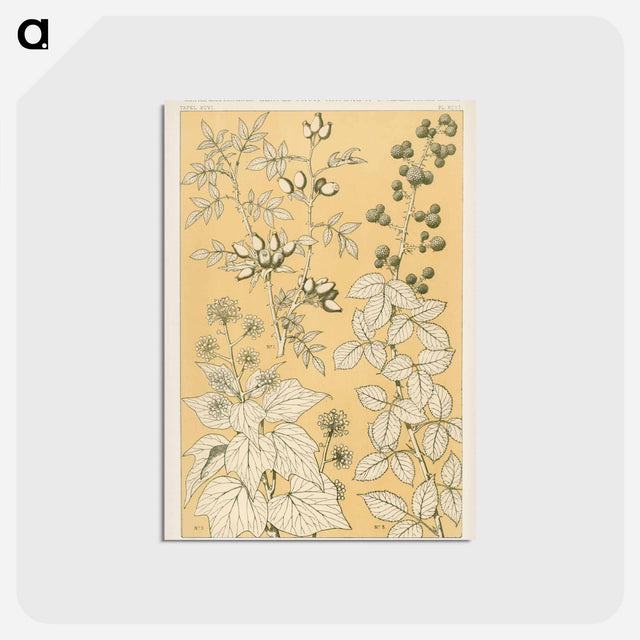 アートポストカード-Nineteenth-Century Floral Ornament
 - 装飾の文法 Postcard.