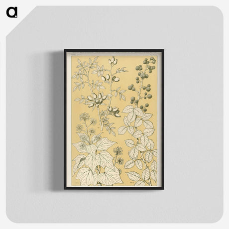 1-46_The-Grammar-of-Ornament_blk-crop