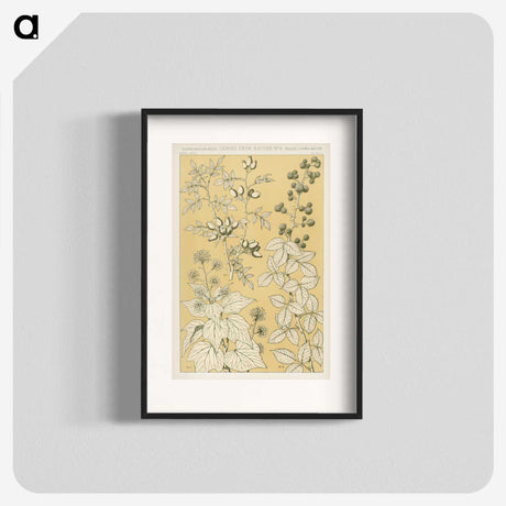 1-46_The-Grammar-of-Ornament_blk