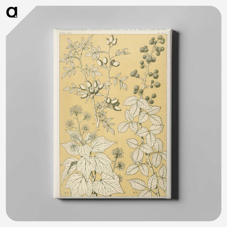 1-46_The-Grammar-of-Ornament_canvas