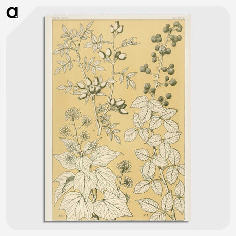 1-46_The-Grammar-of-Ornament_picture-crop