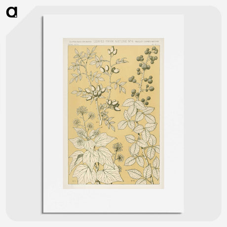 1-46_The-Grammar-of-Ornament_picture