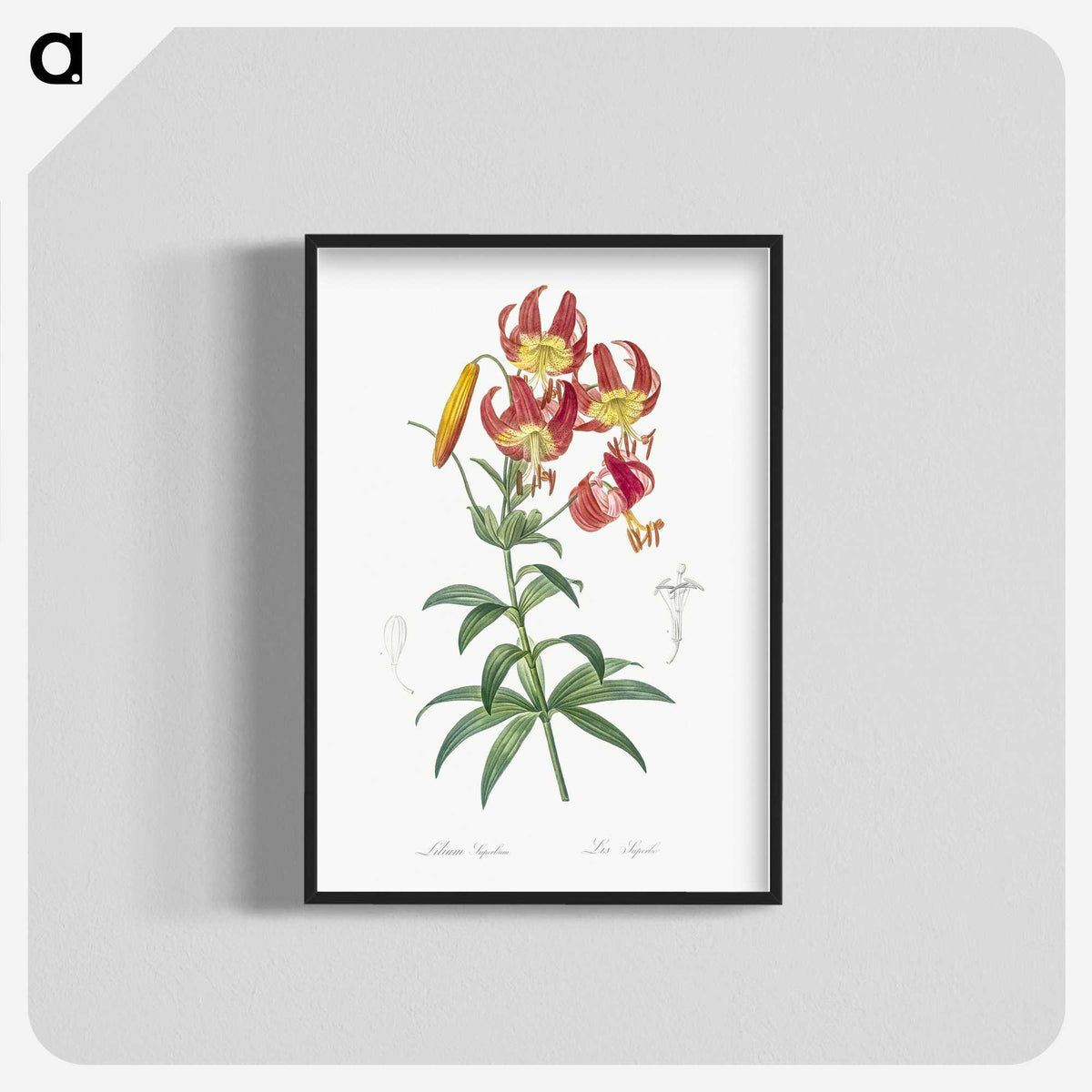 1-46_The-Lilies_blk-crop