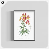 1-46_The-Lilies_blk-crop
