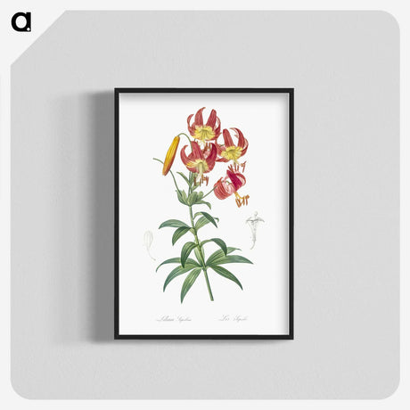 1-46_The-Lilies_blk-crop
