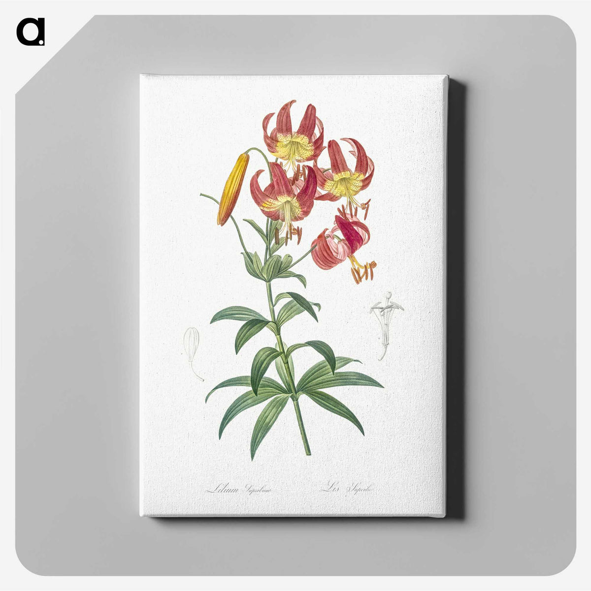 1-46_The-Lilies_canvas
