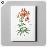 1-46_The-Lilies_canvas