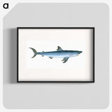 1-46_The-Natural-History-of-British-Fishes_blk
