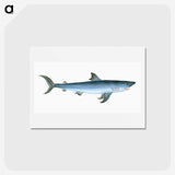 1-46_The-Natural-History-of-British-Fishes_hagaki