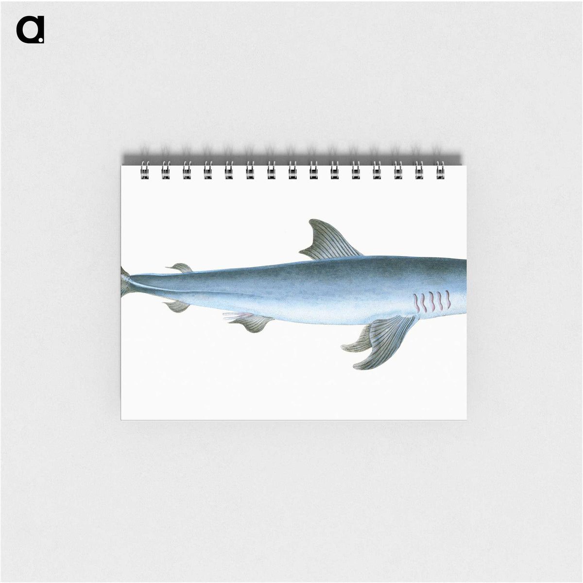 1-46_The-Natural-History-of-British-Fishes_memo