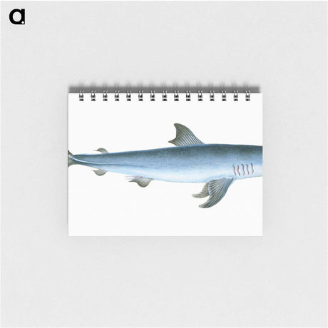 1-46_The-Natural-History-of-British-Fishes_memo