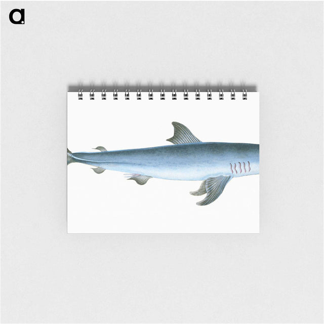 1-46_The-Natural-History-of-British-Fishes_memo
