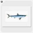 1-46_The-Natural-History-of-British-Fishes_picture