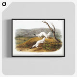 1-46_The-Viviparous-Quadrupeds_blk-crop