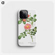 1-46_Treatise-on-Trees-and-Shrubs_phone