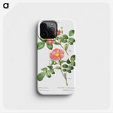 1-46_Treatise-on-Trees-and-Shrubs_phone