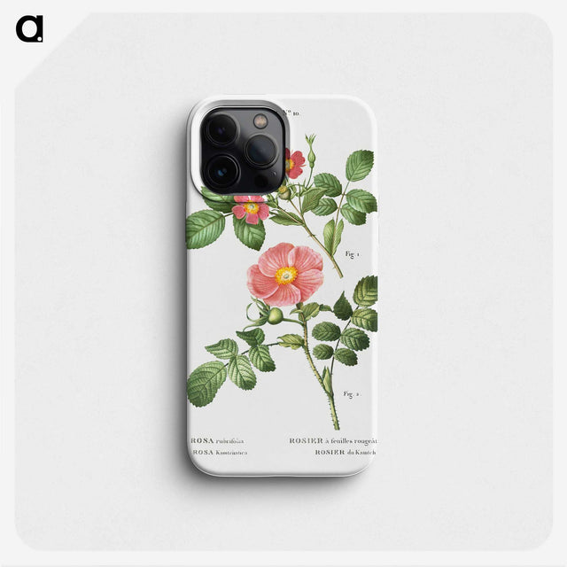 1-46_Treatise-on-Trees-and-Shrubs_phone